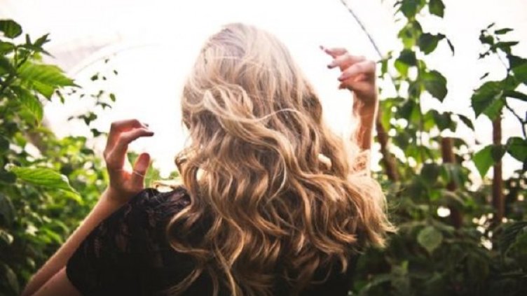 Снимка: Pexels