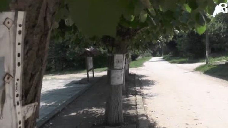 Снимка: Bulgaria ON AIR