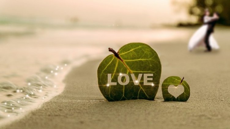 Снимка:  pixabay