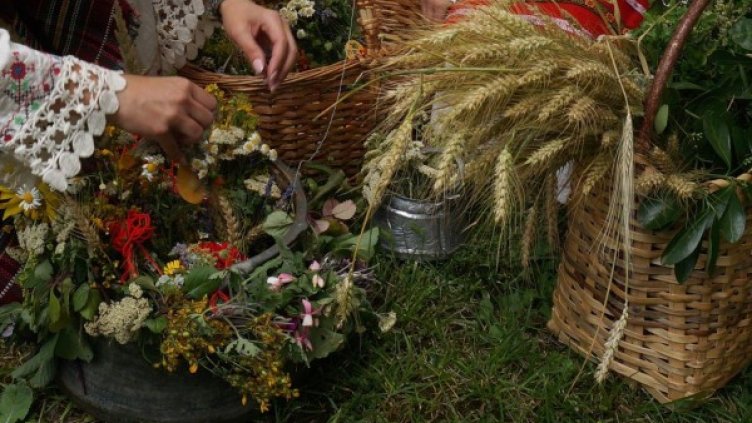 Снимка: Булфото, архив