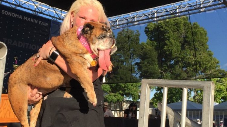 Снимка: Twitter