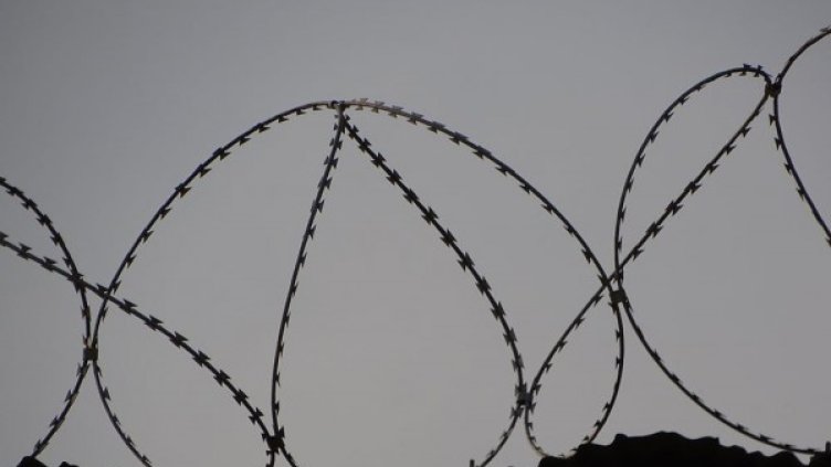 Снимка: pexels.com