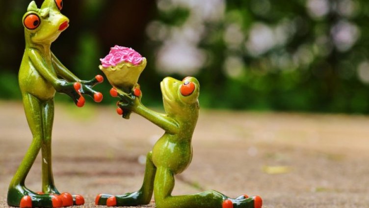 Снимка: Pixabay