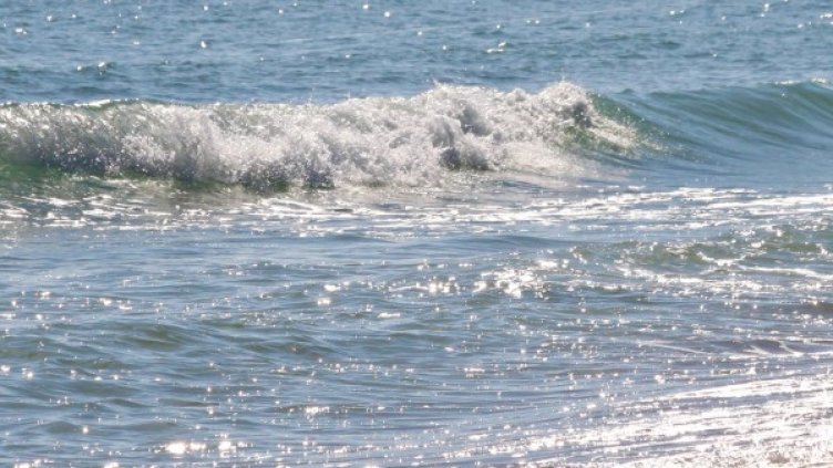 Снимка: архив, Ройтерс