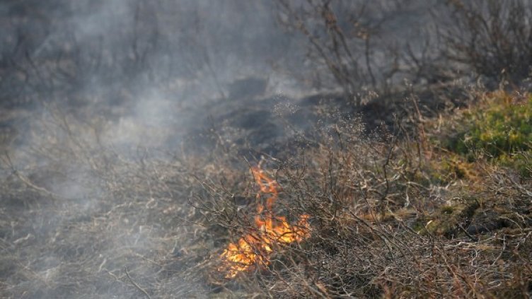 Снимка: Reuters