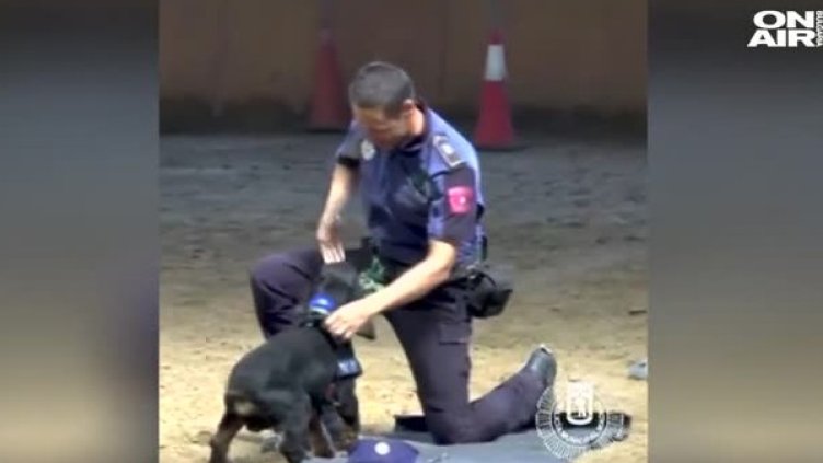 Снимка: Bulgaria On Air