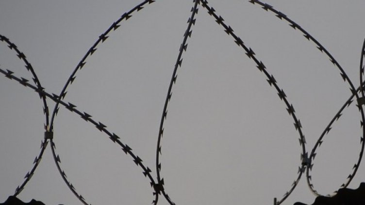 Снимка: pexels.com