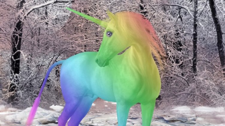 Снимка: Pixabay