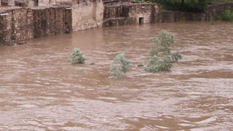 Снимка: Булфото, архив