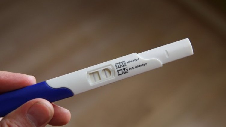 Снимка: pixabay