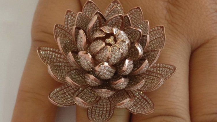 Снимка: Книга на рекордите на Гинес