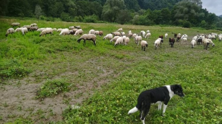 Снимка: Facebook