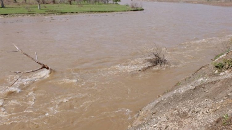 Снимка: архив "Булфото"