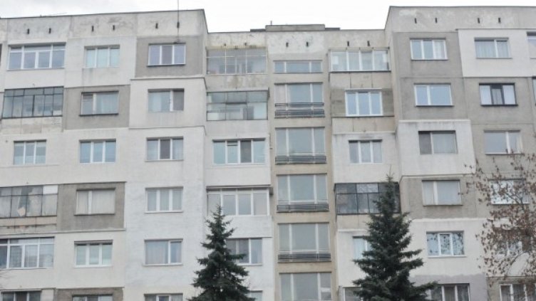 Снимка: Булфото, архив