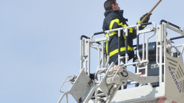 Снимка: Булфото, архив