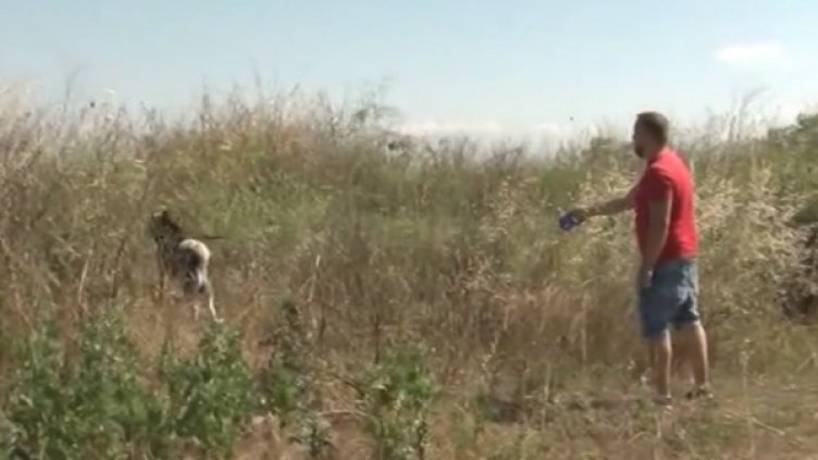 Кадър: Нова тв