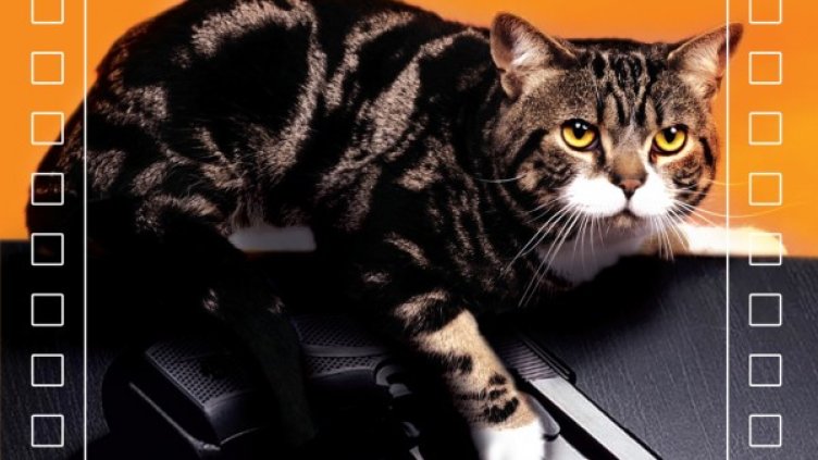 Снимка: Личен архив