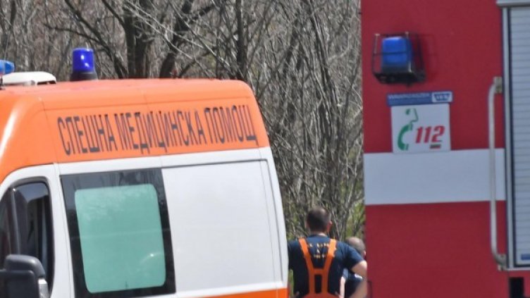 Снимка: Архив Булфото