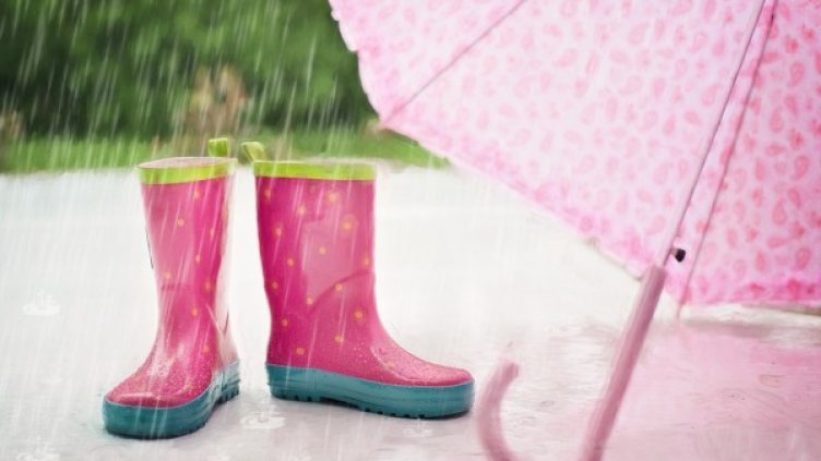 Снимка: Pixabay