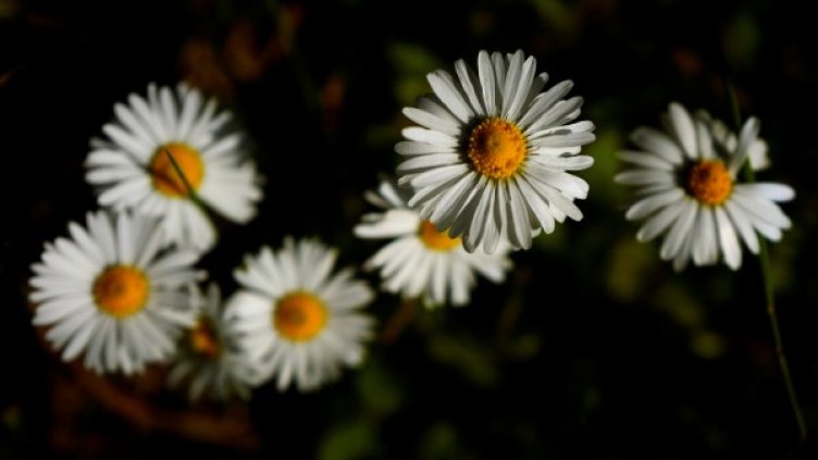 Снимка: архив, Reuters