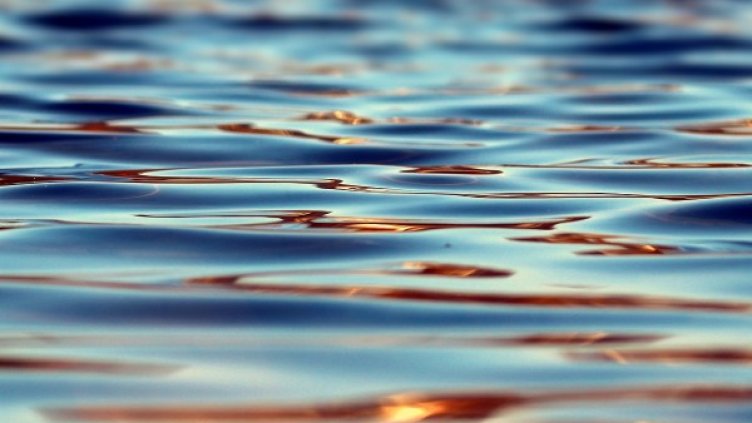 Снимка: Pixabay