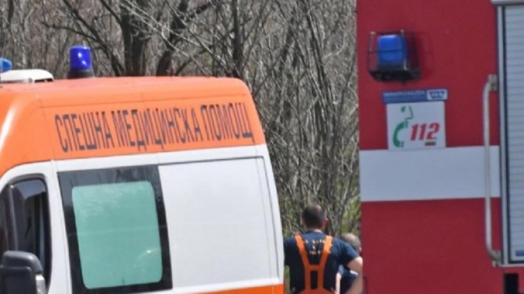 Снимка: Архив Булфото