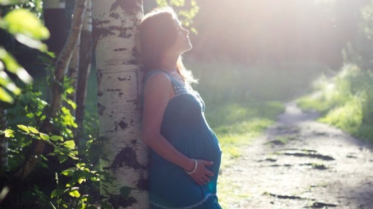 Снимка: pixabay