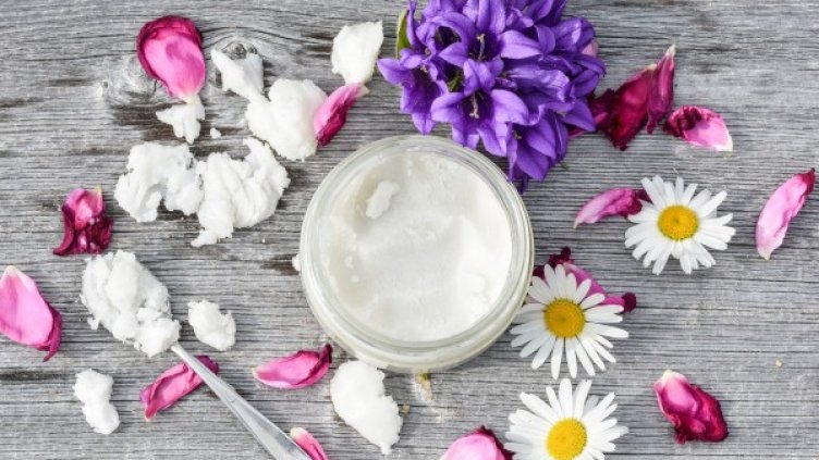 Снимка: pixabay