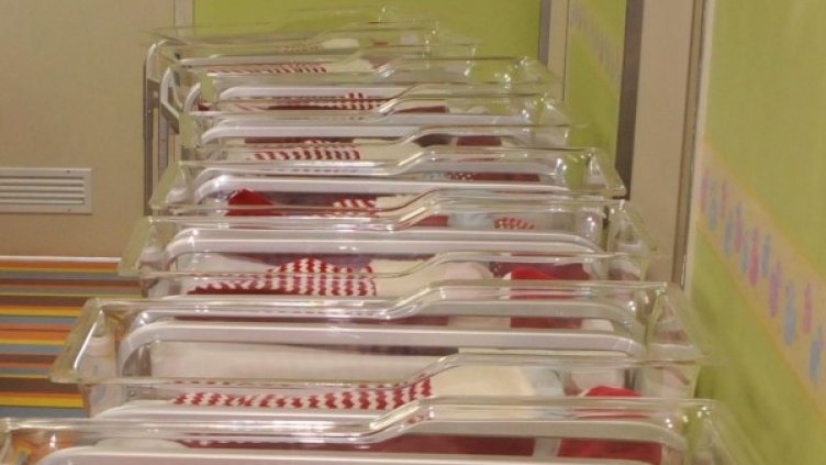 Снимка: Булфото, архив