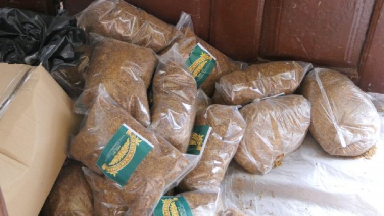 Снимка: МВР