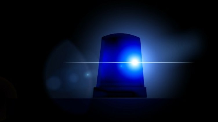 Снимка: Pixabay