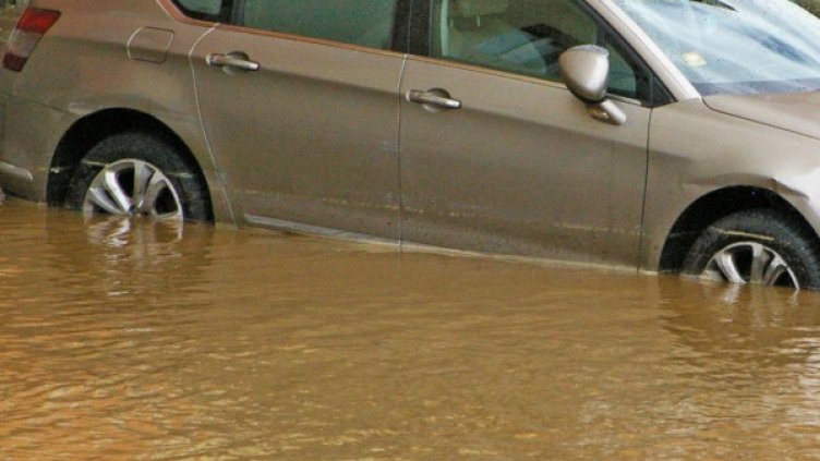 Снимка: архив "Булфото"