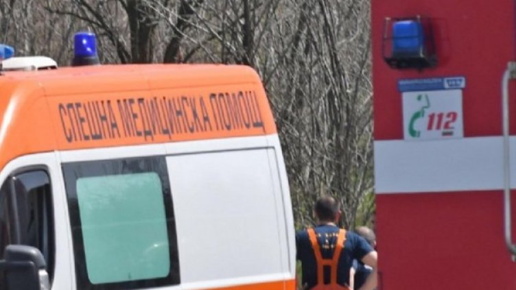 Снимка: Архив Булфото