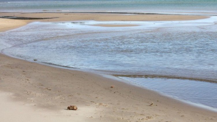 Архив: Булфото