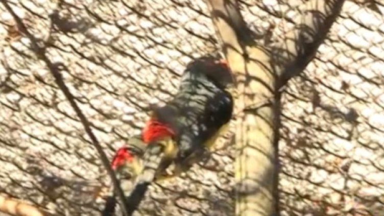 Снимка: Bulgaria ON AIR