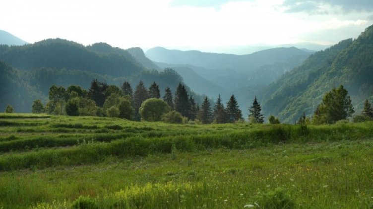 Архив: Булфото