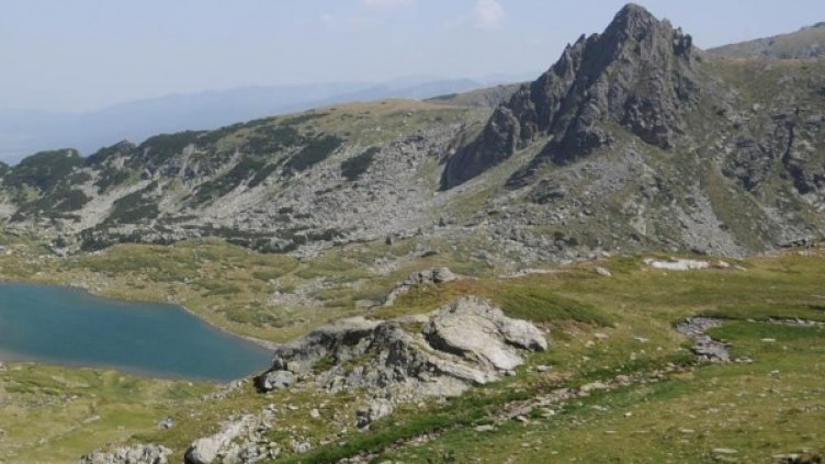 Снимка: Архив, Булфото