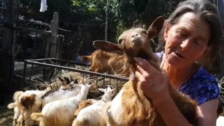 Снимка: Facebook