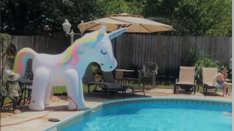 Снимка: Instagram