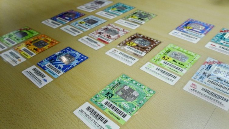 Снимка: Булфото