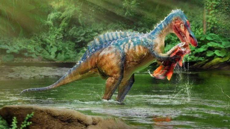 Снимка: Wikipedia
Кадър: bTV