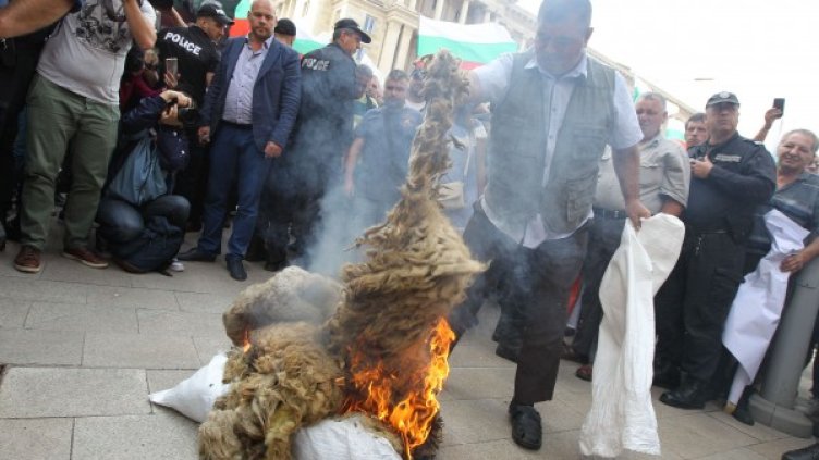 Снимка: архив "Булфото"