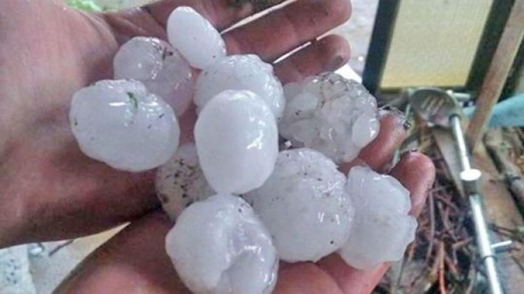 Снимка: архив, Булфото