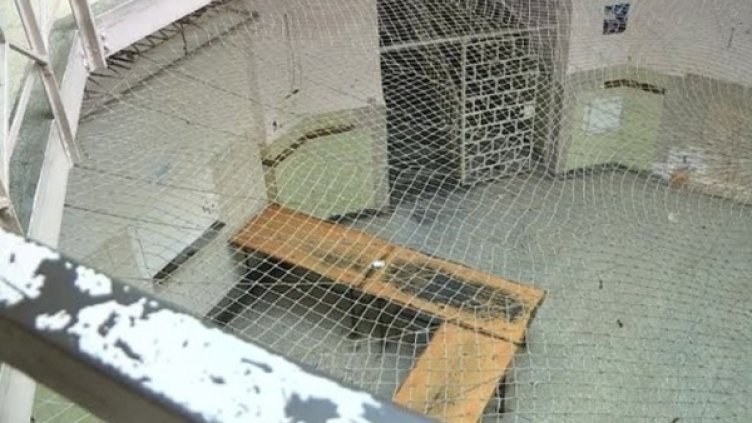 Снимка: Bulgaria ON AIR