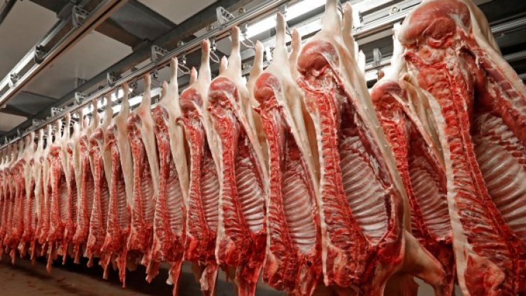 Снимка: архив Reuters