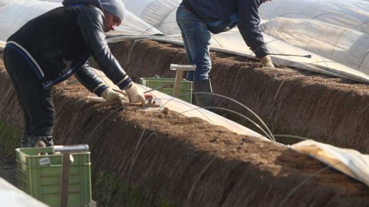 Снимка: архив Reuters