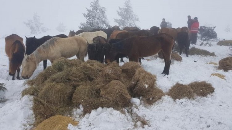 Снимка: архив, Булфото