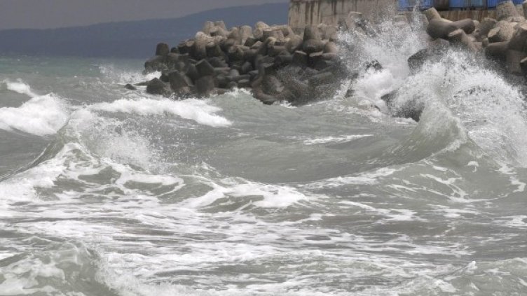 Снимка: Булфото, архив