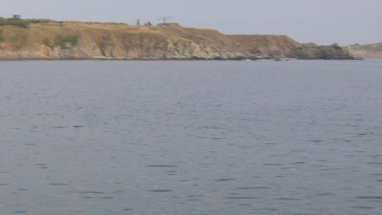 Снимка: архив "Булфото"