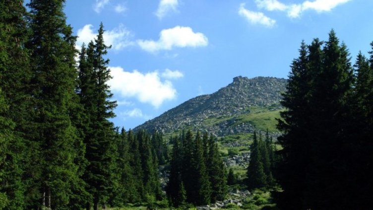 Снимка: Булфото, архив